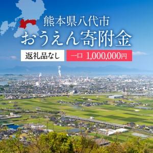 ふるさと納税 八代市 への寄付（返礼品はありません）応援 寄付 100万円 熊本県八代市