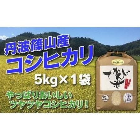 ふるさと納税 お米のおいしさ伝えたい！丹波篠山産コシヒカリ5kg×1 AD06 兵庫県丹波篠山市