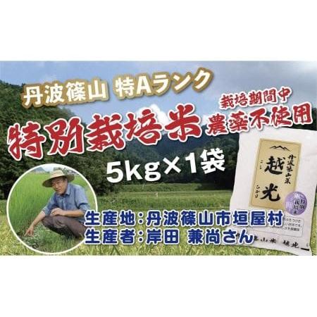 ふるさと納税 丹波篠山産　特別栽培米　越光（農薬不使用）（5ｋｇ×1袋） Y077 兵庫県丹波篠山市