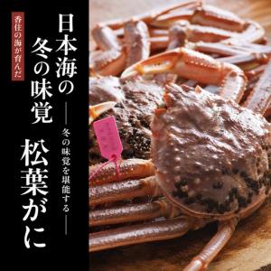 ふるさと納税 カネニの浜茹で 柴山がに タグ付...の詳細画像1