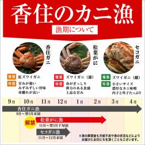 ふるさと納税 カネニの浜茹で 柴山がに タグ付...の詳細画像3