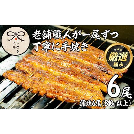 ふるさと納税 【0783712a】鹿児島県産東串良町のうなぎ蒲焼(6尾・計840g以上・秘伝のタレ付...