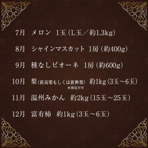 ふるさと納税 【定期便】12か月 南国宮崎 旬...の詳細画像2