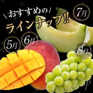 ふるさと納税 【定期便】12か月 南国宮崎 旬...の詳細画像3