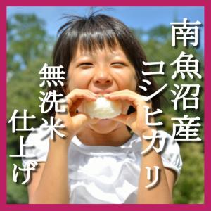ふるさと納税 【令和8年 新米予約】【頒布会1...の詳細画像2