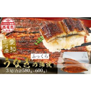 ふるさと納税 「生産者愛知養魚」がお届けする三河...の商品画像