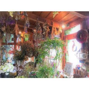 ふるさと納税 【圧巻の50本】真っ赤なバラの花...の詳細画像4