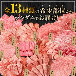 ふるさと納税 【全12回定期便】A4 A5 豪...の詳細画像2