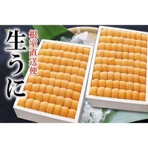 ふるさと納税 エゾバフンウニ並べ詰め150g×2折[11月上旬以降]