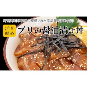 ふるさと納税 ぶり 漬け丼 海鮮 丼 活き締め 鰤 醤油セット 産地直送 お茶漬け 高知県 須崎市 高知県須崎市 ふるなび ふるさと納税 通販 Yahoo ショッピング