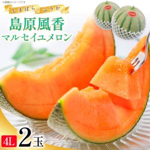 ふるさと納税 DF108【令和8年度出荷分】マル...の商品画像