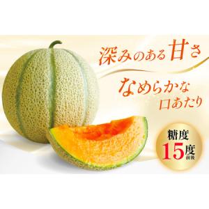 ふるさと納税 DF108【令和8年度出荷分】マ...の詳細画像1