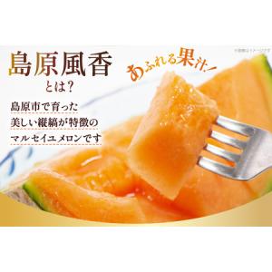 ふるさと納税 DF108【令和8年度出荷分】マ...の詳細画像2
