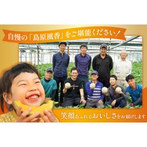 ふるさと納税 DF108【令和8年度出荷分】マ...の詳細画像3