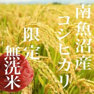 ふるさと納税 【令和8年 新米予約】【定期便】...の詳細画像4
