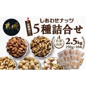 ふるさと納税 栄養豊富!ナッツ5種詰合せ2.5kg_MJ-9017_(都城市) ナッツ 5種 アーモンド クルミ カシューナッツ マカデミアナッツ ピスタチオ.. 宮崎県都城市｜furunavi