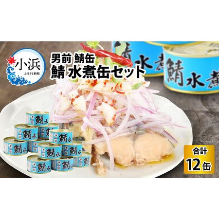 ふるさと納税 鯖 水煮 缶詰 180g × 12缶 サバ缶 おつまみ 保存食 [B-003014] ...