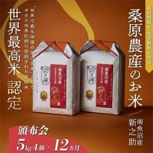 ふるさと納税 【R7年産】【頒布会】ギネス世界記録「世界最高米」認定 最高級南魚沼産新之助20kg(5kg×4)×12ヵ月 桑原農産のお米(精.. 新潟県南魚沼市