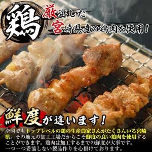 ふるさと納税 <訳あり・業務用>国産鶏モモ焼き...の詳細画像1