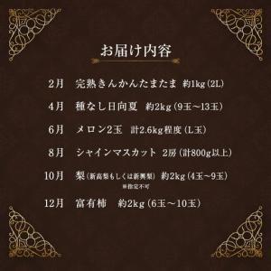 ふるさと納税 【6回】フルーツ定期便 旬のフル...の詳細画像1