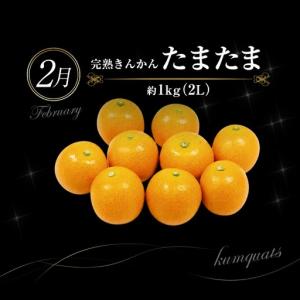 ふるさと納税 【6回】フルーツ定期便 旬のフル...の詳細画像2