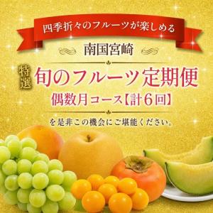 ふるさと納税 【6回】フルーツ定期便 旬のフル...の詳細画像4