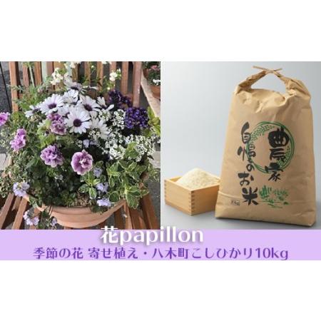 ふるさと納税 038N346 季節の花 寄せ植え・八木町産こしひかり10kg[高島屋選定品］ 京都府...