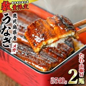ふるさと納税 <数量限定・メガサイズ>「養鰻業者...の商品画像