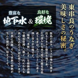 ふるさと納税 <数量限定・メガサイズ>「養鰻業...の詳細画像2