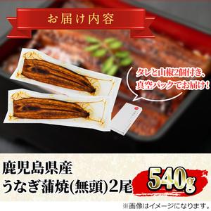 ふるさと納税 <数量限定・メガサイズ>「養鰻業...の詳細画像3