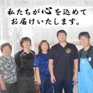 ふるさと納税 <数量限定・メガサイズ>「養鰻業...の詳細画像4