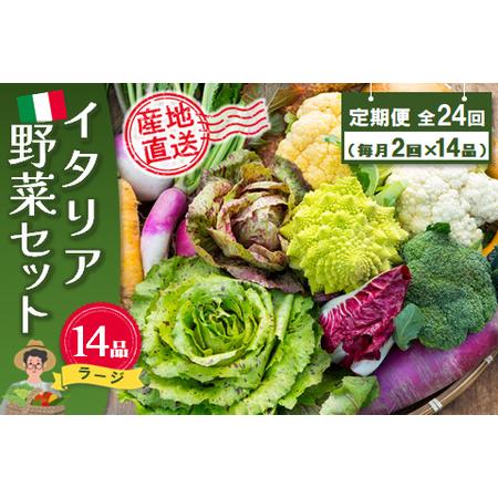 ふるさと納税 年間定期便24回 イタリア野菜セットラージ 14品 【有機野菜 おまかせ野菜セット イ...