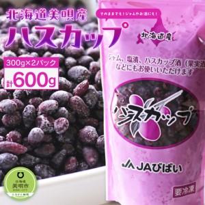 北海道の果実 令和7年収穫ハスカップ（冷凍）5kg : フルーツガーデン