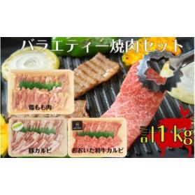 ふるさと納税 1852R_バラエティー焼肉セット 大分県国東市