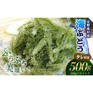 ふるさと納税 宜野座村の海ぶどう（100g×5パック） 沖縄県宜野座村