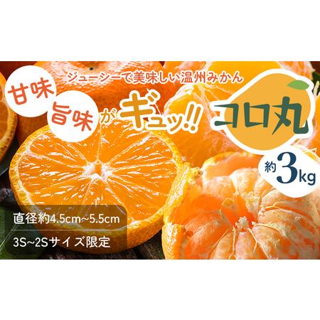 ふるさと納税 2026年秋よりお届け 瀬戸内　小みかん！コロ丸　約3kg 果物類 柑橘類 フルーツ ...