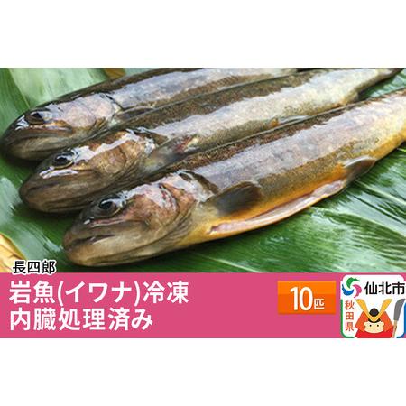 ふるさと納税 岩魚（イワナ）冷凍10匹　内臓処理済み　10匹 秋田県仙北市