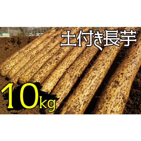 ふるさと納税 変色しない！ 土付き 長芋 10kg 【マル庄】 ／ 長いも 長イモ ながいも 山芋 ...