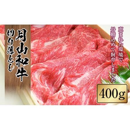 ふるさと納税 FYN9-858 山形県産黒毛和牛《月山和牛》福寿館 切り落とし 400g 牛肉 山形...