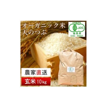 ふるさと納税 【令和5年産米】南相馬・根本有機農園のJAS有機米天のつぶ10kg（玄米）【30047...