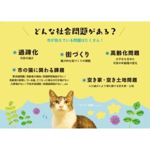 ふるさと納税 SAVE THE CAT HID...の詳細画像1