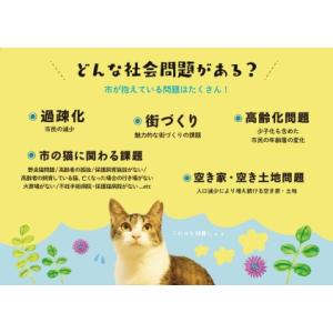 ふるさと納税 SAVE THE CAT HID...の詳細画像1