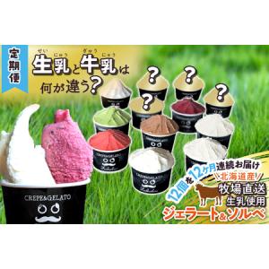ふるさと納税 ＜12ヶ月定期便＞北海道産 生乳 ジェラート アイス 毎月12個 詰め合わせ ジェラートセット 北海道新ひだか町