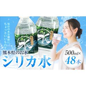 ふるさと納税 水 シリカ水 500ml × 48本 有限会社七城町特産品センター メロンドーム 《30日以内に出荷予定(土日祝除く)》 熊本県 菊池市 .. 熊本県菊池市