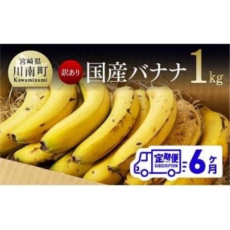 ふるさと納税 【定期便】【訳あり】国産バナナ1kg　6ヶ月定期便【国産 バナナ 無農薬 フルーツ 果...