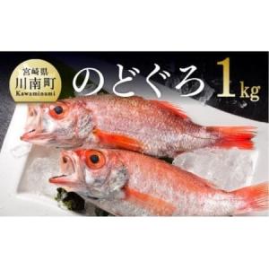 ふるさと納税 のどぐろ 5〜7尾 計約1.2kg 鮮魚セットF|鮮魚 新鮮 ふるさと納税 のどぐろ 5〜7尾 計約1.2kg 鮮魚セットF|鮮魚 新鮮