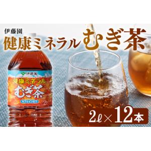 ふるさと納税 健康ミネラルむぎ茶 2L×6本×2ケース PET 【 麦茶 むぎ茶 麦茶 むぎ茶 麦茶 】 宮崎県川南町