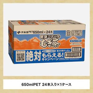 ふるさと納税 【3ヶ月定期便】健康ミネラル む...の詳細画像2