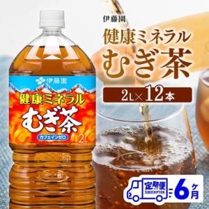 ふるさと納税 【定期便】伊藤園 健康ミネラル むぎ茶 2L×6本×2ケース PET 6ケ月定期便【お茶 麦茶 ムギ茶 飲料 水分補給お茶 ソフト.. 宮崎県川南町