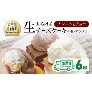 ふるさと納税 【定期便6回コース】とろける生チーズケーキ（プレーン・チョコ）＋メロンパン【スイーツ ケーキ チーズケーキ プレーン チョコ 洋.. 宮崎県川南町